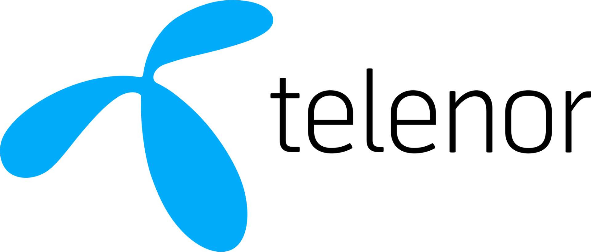 Netsolution