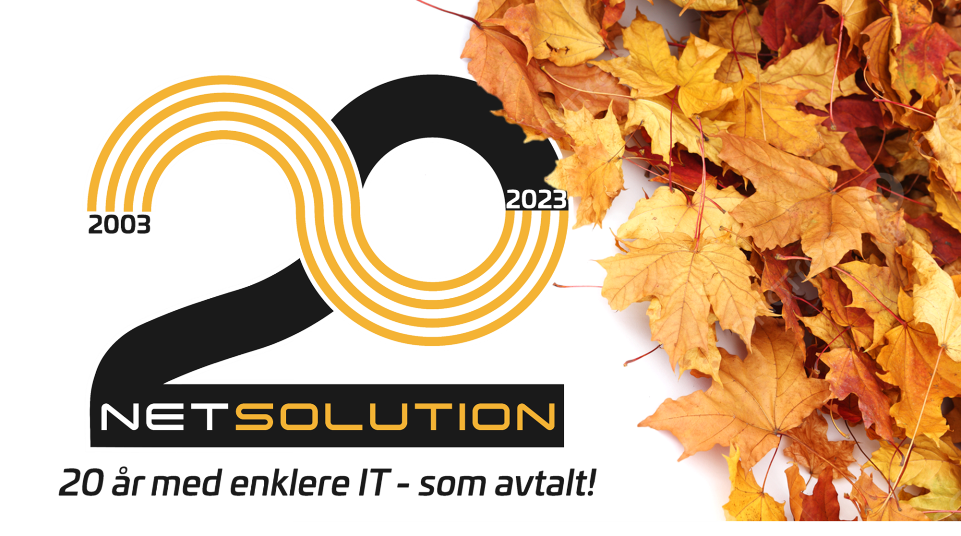 Netsolution